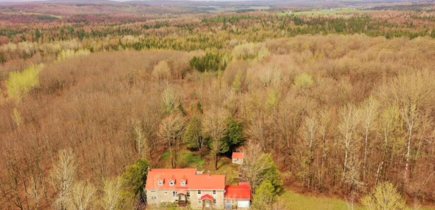 Chalet à vendre