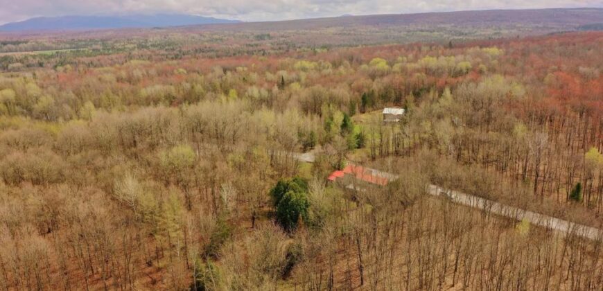 Chalet à vendre