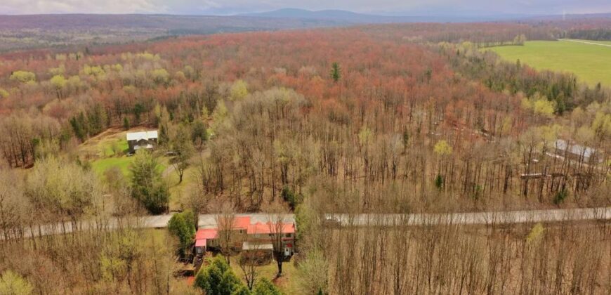 Chalet à vendre