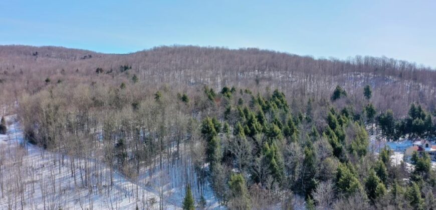 Terrain à vendre