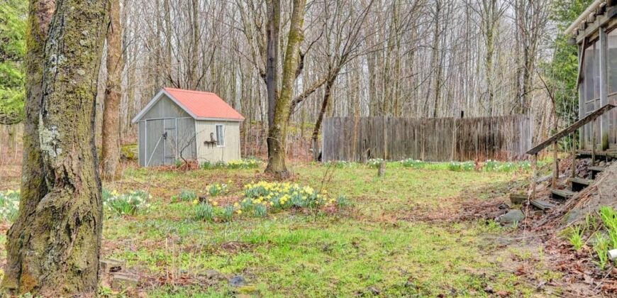 Chalet à vendre